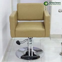 classic salon chair y192